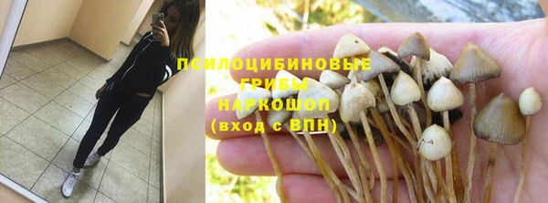 эйфоретик Алексин