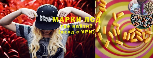 PSILOCYBIN Алзамай