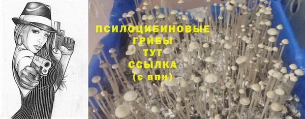 гашишное масло Алексеевка